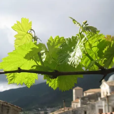 Apartment Il Nibbio - Soffitta Delle Ginestre Morano Calabro