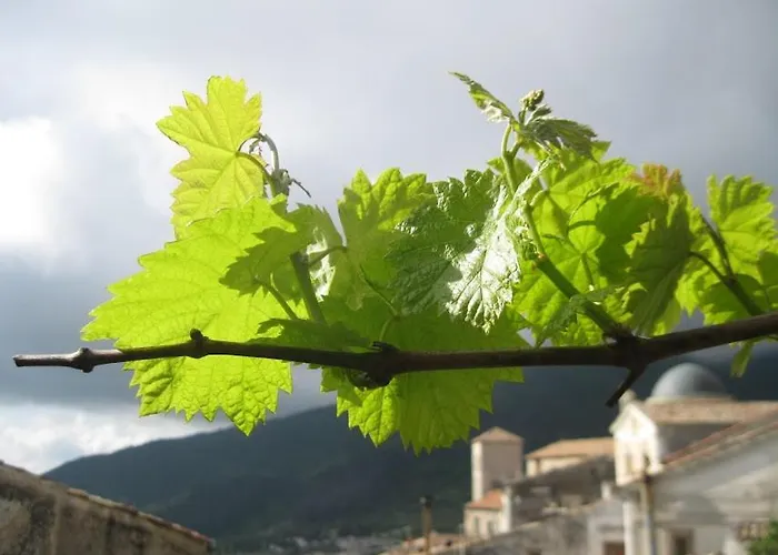 Appartement Il Nibbio - Soffitta Delle Ginestre Morano Calabro