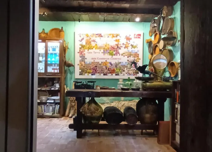 Il Nibbio - Soffitta Delle Ginestre Appartement Morano Calabro